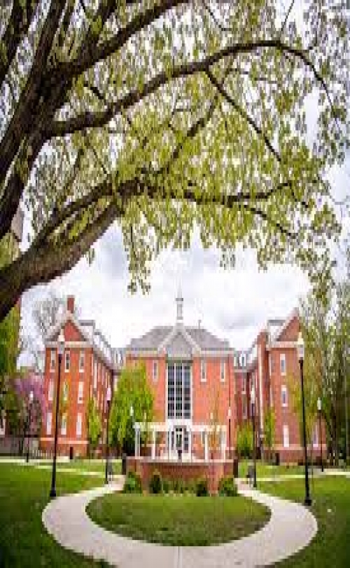 INTO Group - Illinois State University